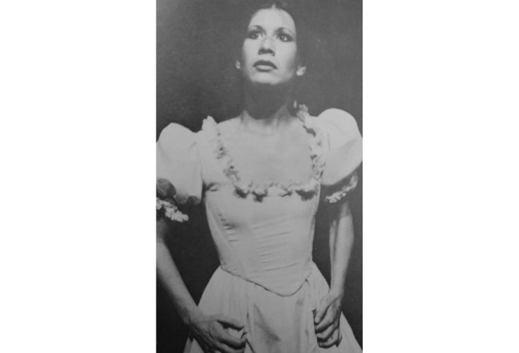 Tournez chevaux de bois 2